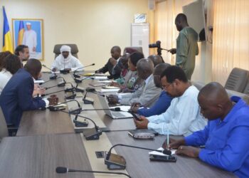 Tchad : Renforcement de la coopération sanitaire avec l&rsquo;Italie