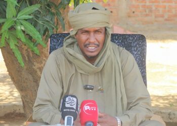 Tchad: le MSNT dénonce des irrégularités dans les résultats électoraux de Ouadi Rime