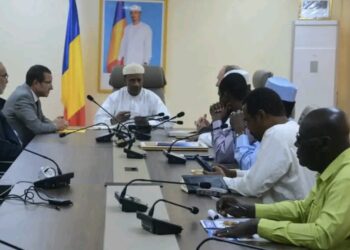 Tchad : Renforcer le secteur sanitaire, un partenariat stratégique entre le ministère et l&rsquo;ONG Dignité Internationale