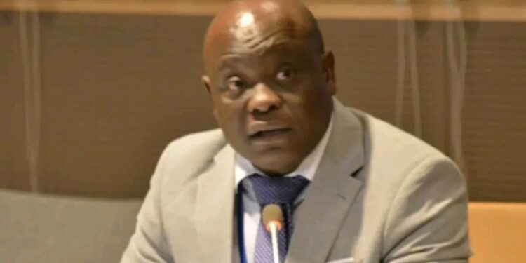 Tchad: Nomination d&rsquo;un Coordonnateur de l&rsquo;observatoire du climat des affaires (décret)