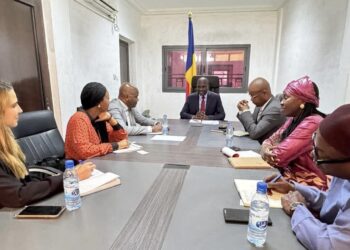 Coopération : Le Tchad et la BAD œuvrent pour le renforcement de leur partenariat économique