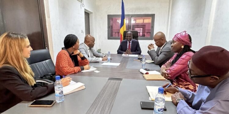 Coopération : Le Tchad et la BAD œuvrent pour le renforcement de leur partenariat économique