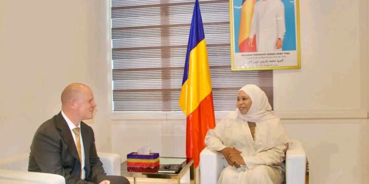 Tchad: Le nouveau Représentant de l&rsquo;UNICEF reçu par la Ministre déléguée aux Affaires étrangères