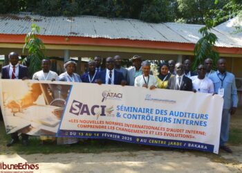 Tchad: lancement du séminaire des auditeurs et contrôleurs internes à Bakara