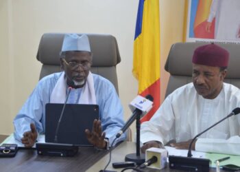 Tchad : Réunion pour l’opérationnalisation des Centres Hospitaliers Universitaires