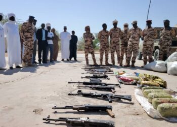 Kanem : Plusieurs armes saisies présentées et des produits illicites incinérés