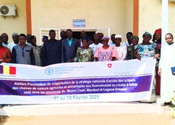 Moyen Chari : Lancement d&rsquo;un atelier provincial pour optimiser l’accès au financement agricole