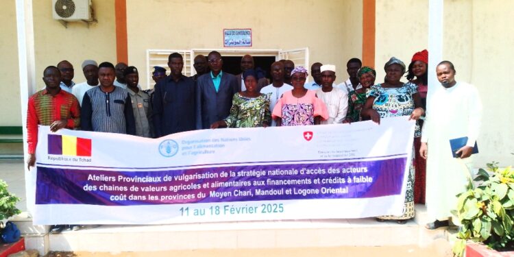 Moyen Chari : Lancement d&rsquo;un atelier provincial pour optimiser l’accès au financement agricole