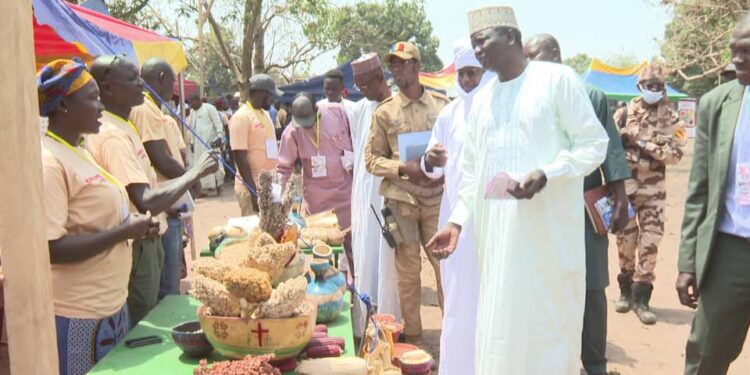Logone Oriental : Ouverture de la 3e édition de la foire des semences paysannes à Doba