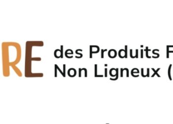 Tchad : Première Édition de la Foire des Produits Forestiers Non Ligneux, Un Événement pour Valoriser les Richesses Naturelles