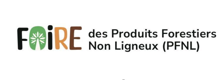 Tchad : Première Édition de la Foire des Produits Forestiers Non Ligneux, Un Événement pour Valoriser les Richesses Naturelles