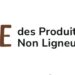 Tchad : Première Édition de la Foire des Produits Forestiers Non Ligneux, Un Événement pour Valoriser les Richesses Naturelles
