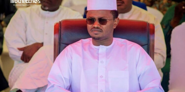 Le Tchad se mobilise pour une meilleure protection de l’environnement : Appel à la collaboration des acteurs engagés