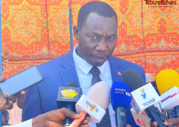 Tchad : L’AILC réceptionne plus de 11 000 tonnes d’intrants agricoles pour le ministère en charge de l’agriculture