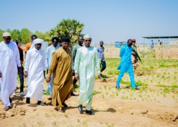 Tchad : Hassan Bakhit Djamous, un ministre en lutte contre la déforestation et la désertification