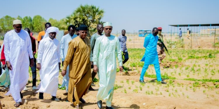 Tchad : Hassan Bakhit Djamous, un ministre en lutte contre la déforestation et la désertification