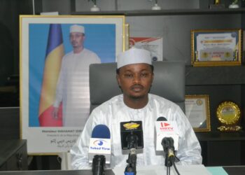 Tchad : Interdiction du transport et de la commercialisation du bois et du charbon