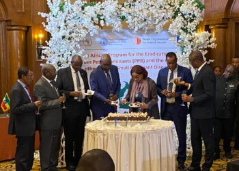 Santé Animale : Le Tchad Fortement Représenté au Lancement du Programme Panafricain d’Éradication de la PPR