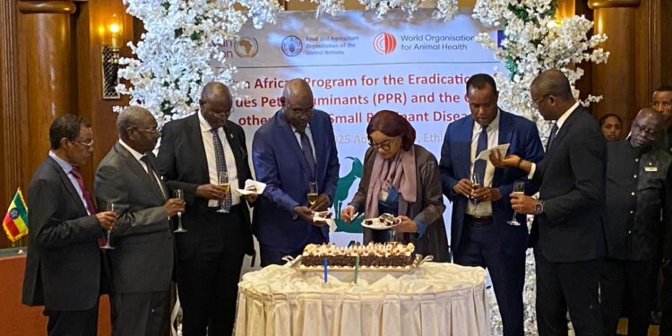 Santé Animale : Le Tchad Fortement Représenté au Lancement du Programme Panafricain d’Éradication de la PPR