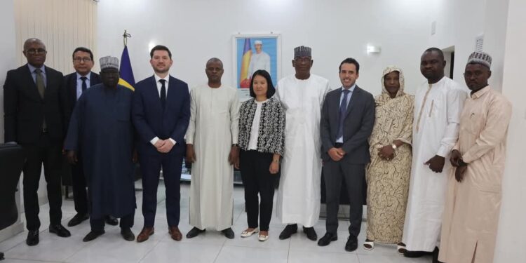 Tchad : Le gouvernement et le FMI renforcent leur coopération