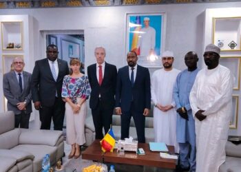 Tchad : Rencontre entre le Ministre de la Sécurité Publique et le Représentant de l&rsquo;Union Européenne