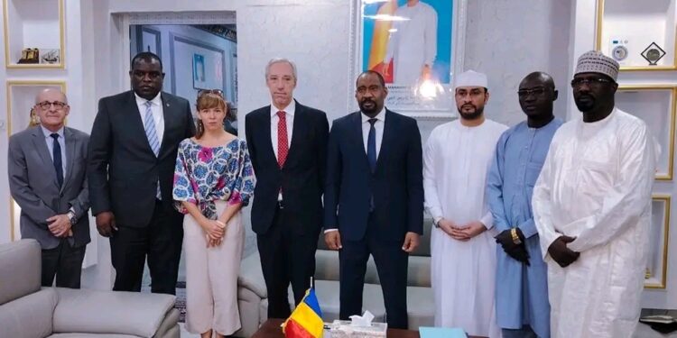 Tchad : Rencontre entre le Ministre de la Sécurité Publique et le Représentant de l&rsquo;Union Européenne