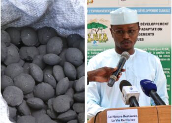 Tchad : Lancement de la distribution de Charbon Écologique et de Gaz Butane pour lutter contre la déforestation dans le Wadi-Fira