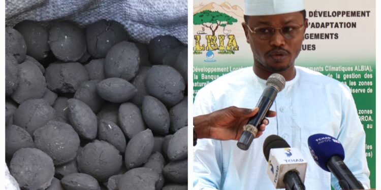 Tchad : Lancement de la distribution de Charbon Écologique et de Gaz Butane pour lutter contre la déforestation dans le Wadi-Fira