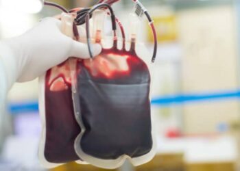 RDC : L’OMS livre 500 poches de sang à Goma pour répondre à l’urgence humanitaire