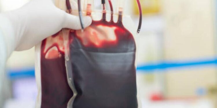 RDC : L’OMS livre 500 poches de sang à Goma pour répondre à l’urgence humanitaire