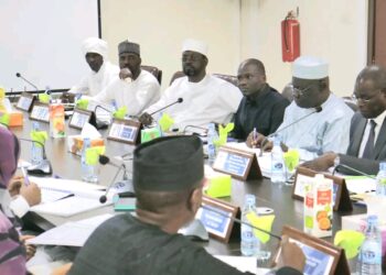 Tchad: Le Conseil de régulation adopte le budget 2025 de l’ARCEP