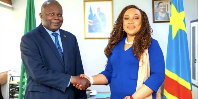 Tchad – RDC : Vers une Commission Mixte de Coopération