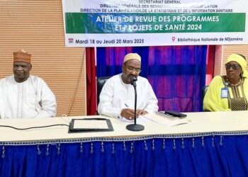 Tchad: Lancement des travaux de la revue des programmes et projets de santé 2024