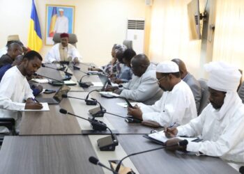 Tchad: Rencontre du ministre de la santé avec les acteurs de la couverture santé universelle