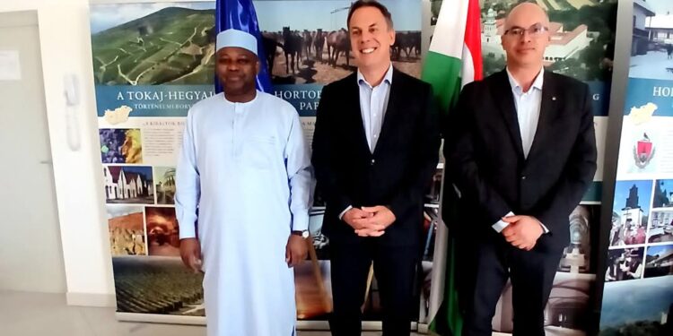 Tchad: Renforcement de la coopération entre la Mairie de N’Djaména et l’Ambassade de Hongrie