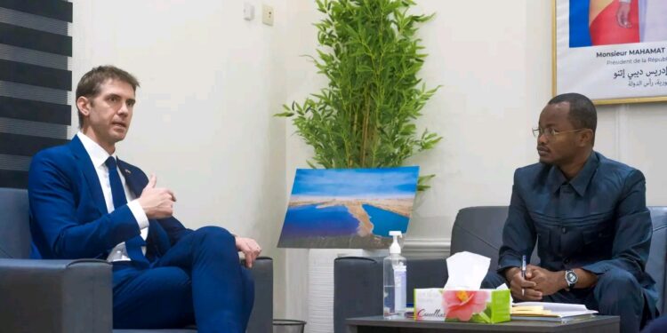 Tchad : Vers un Partenariat Renforcé avec le Royaume-Uni pour la Protection de l’Environnement