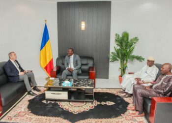 Tchad : Le Président de la CNDH échange avec l&rsquo;ambassadeur de la France