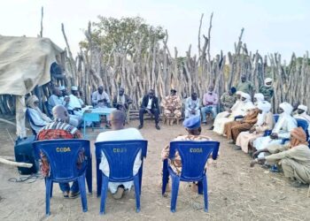 Moyen Chari : Le ministre de l&rsquo;élevage visite le marché à bétail de Danaladji