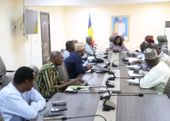 Tchad : La Secrétaire d&rsquo;État à la Santé publique rencontre les partenaires techniques et financiers