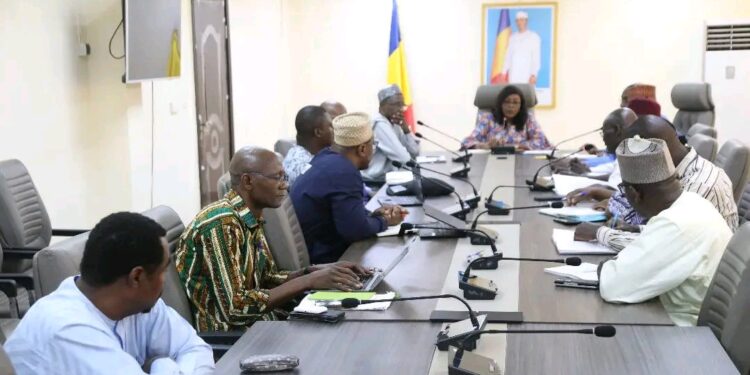 Tchad : La Secrétaire d&rsquo;État à la Santé publique rencontre les partenaires techniques et financiers