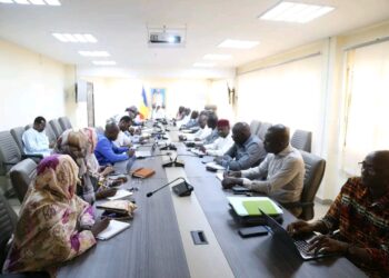 Tchad : Vers l&rsquo;opérationnalisation des Services d&rsquo;Aide Médicale d&rsquo;Urgence (SAMU), le Ministère de santé s&rsquo;active