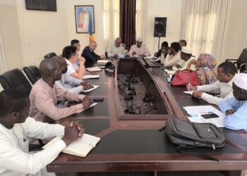 Tchad : Les ministres du tourisme et de l&rsquo;urbanisme préparent la réception de l&rsquo;hôtel Toumaï Palace