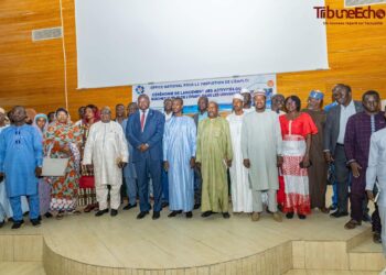 N&rsquo;Djamena : l&rsquo;ONAPE met des guichets d’emploi à la disposition des étudiants