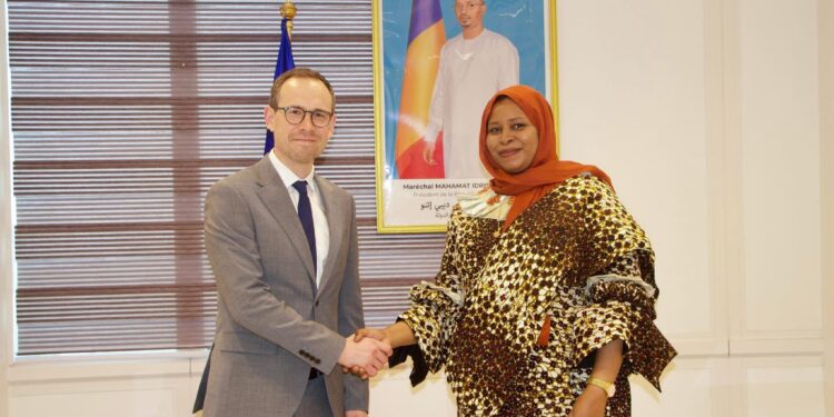 Tchad : L’Envoyé Spécial du Royaume-Uni pour le Sahel reçu par la ministre Déléguée aux Affaires étrangères