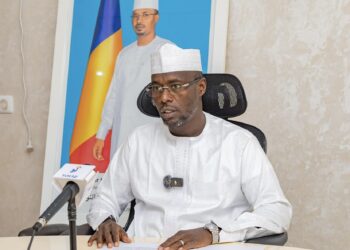 Tchad : Un appel à l’action pour la Journée internationale des forêts