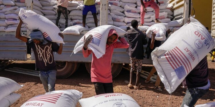 Suspension de l’aide américaine : des centaines d’employés tchadiens au chômage et des programmes à l’arrêt