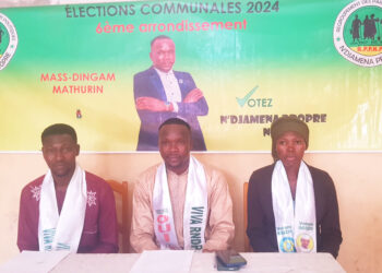 N&rsquo;Djaména : VIVA-RNDP dénonce une mascarade dans la désignation de l’exécutif communal du 6e arrondissement