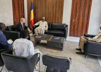 Tchad : Le Ministre de l&rsquo;Éducation Renforce la Coopération avec l&rsquo;UNICEF et le Secours Islamique France