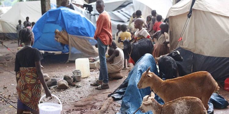 Burundi : Une évaluation alarmante des besoins des réfugiés congolais pousse à l’action