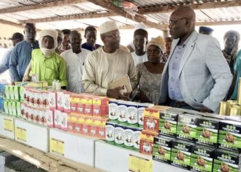 Tchad: Mission de supervision du Ministre de l’Élevage à Koumra